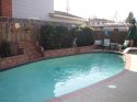 backyard3.jpg